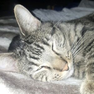 Meet your Posher, Sophia